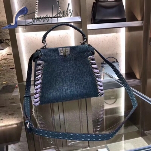 Fendi Bag 031